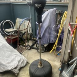 Speed Bag On Stand !! Good Condition! $60