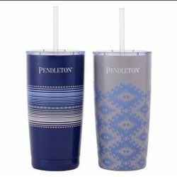 Pandetlon Patterned 20 Oz Stainless Steel Hot/Cold 2 Tumbler Set With 4 Straws
