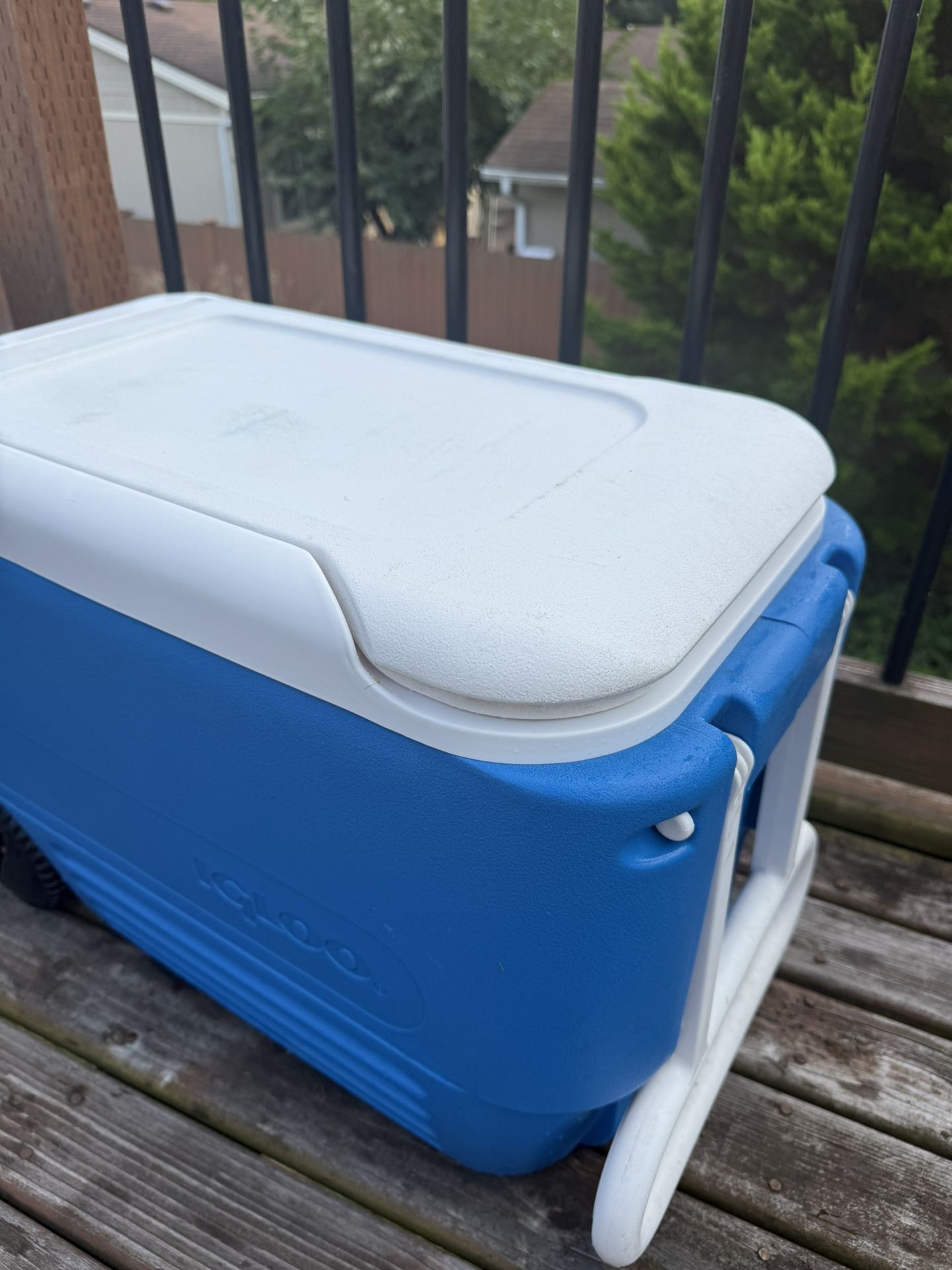 Cooler