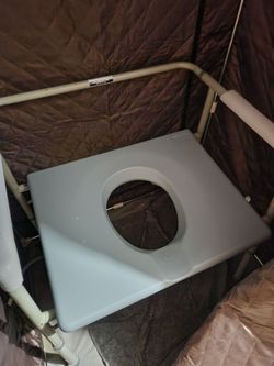 Shower/potty chair