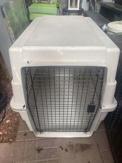 Large Dog Kennel