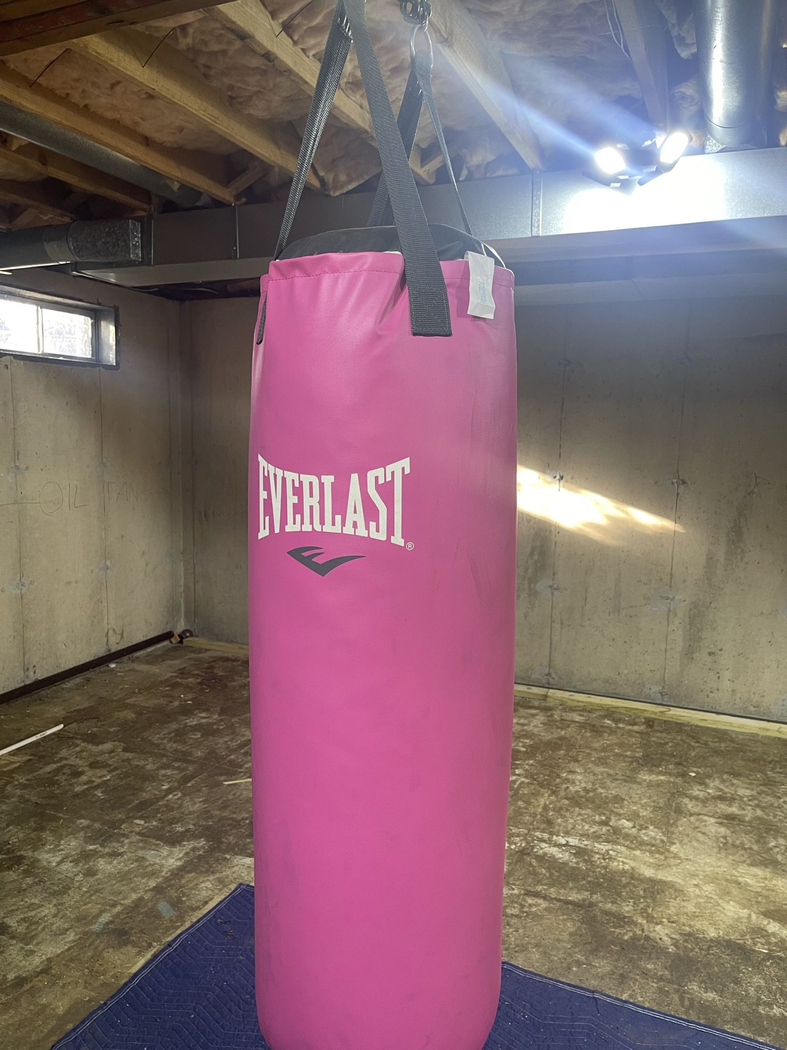 Pink Punching Bag 