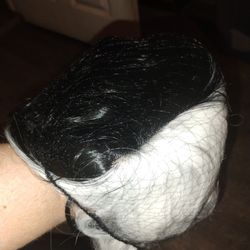 Black & Blonde Wig 