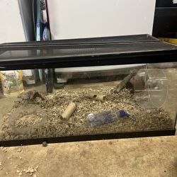 Aquarium
