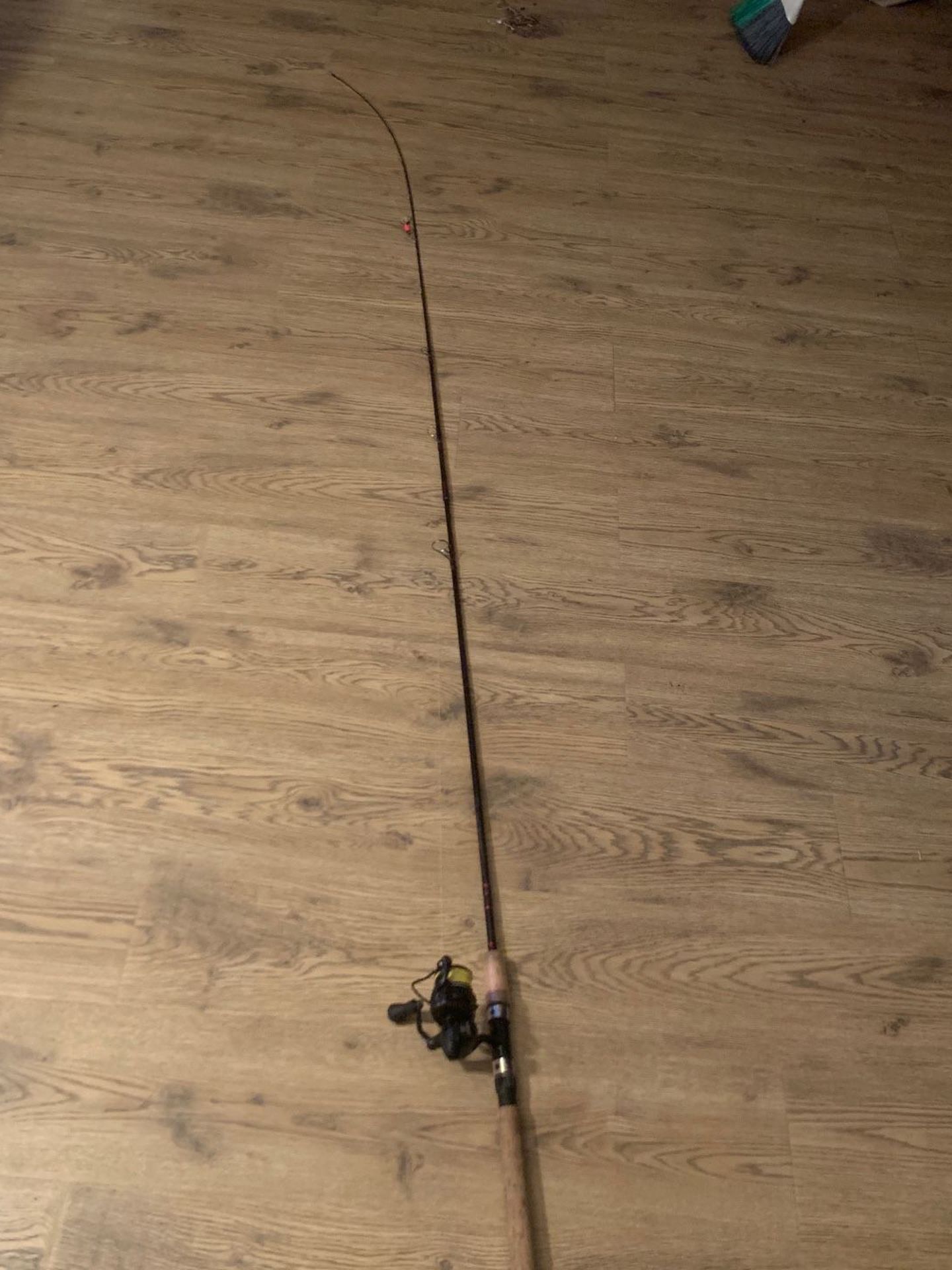 Fishing reel and rod