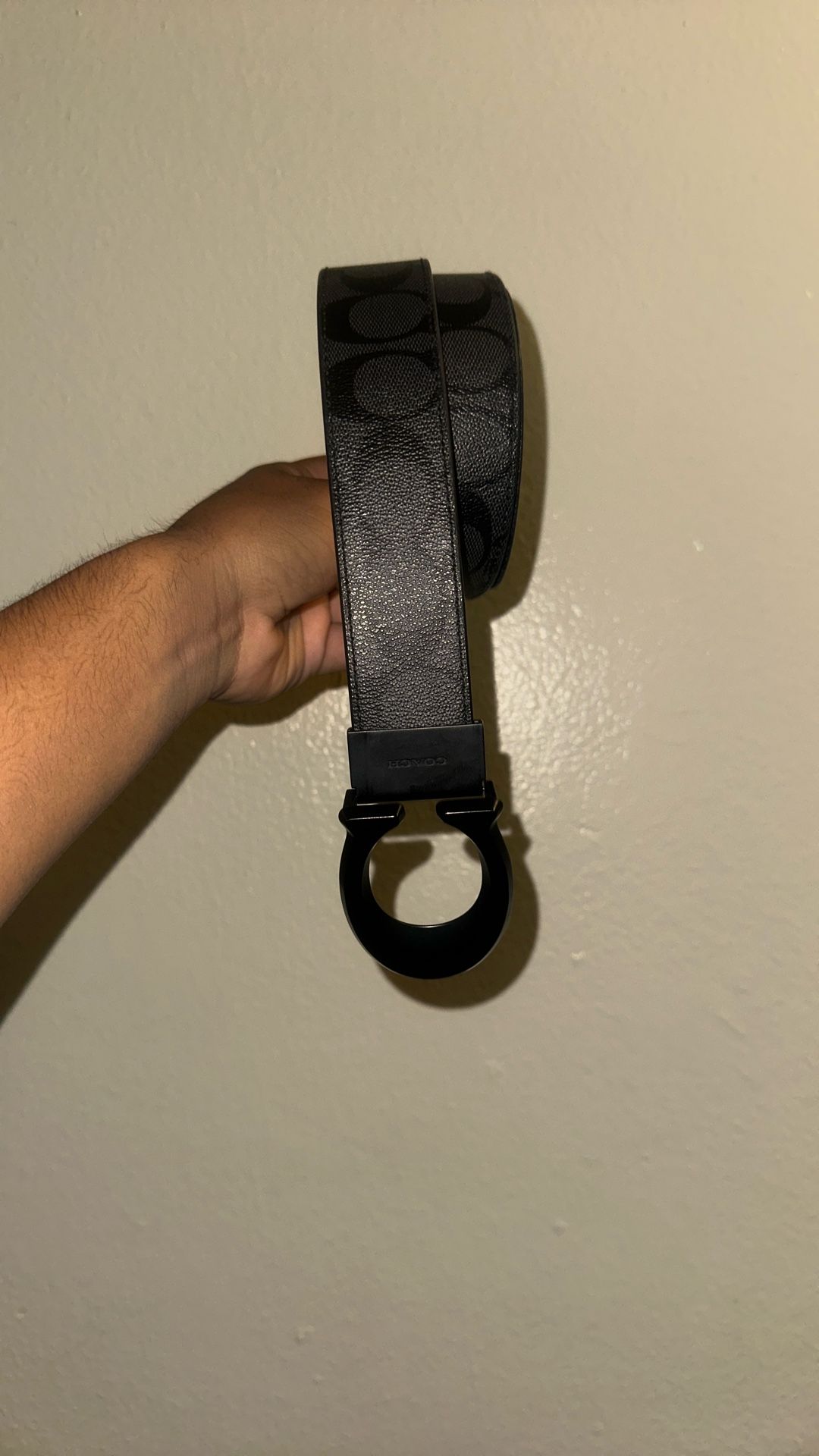 Coach belt