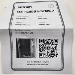 Louis Vuitton pouchette