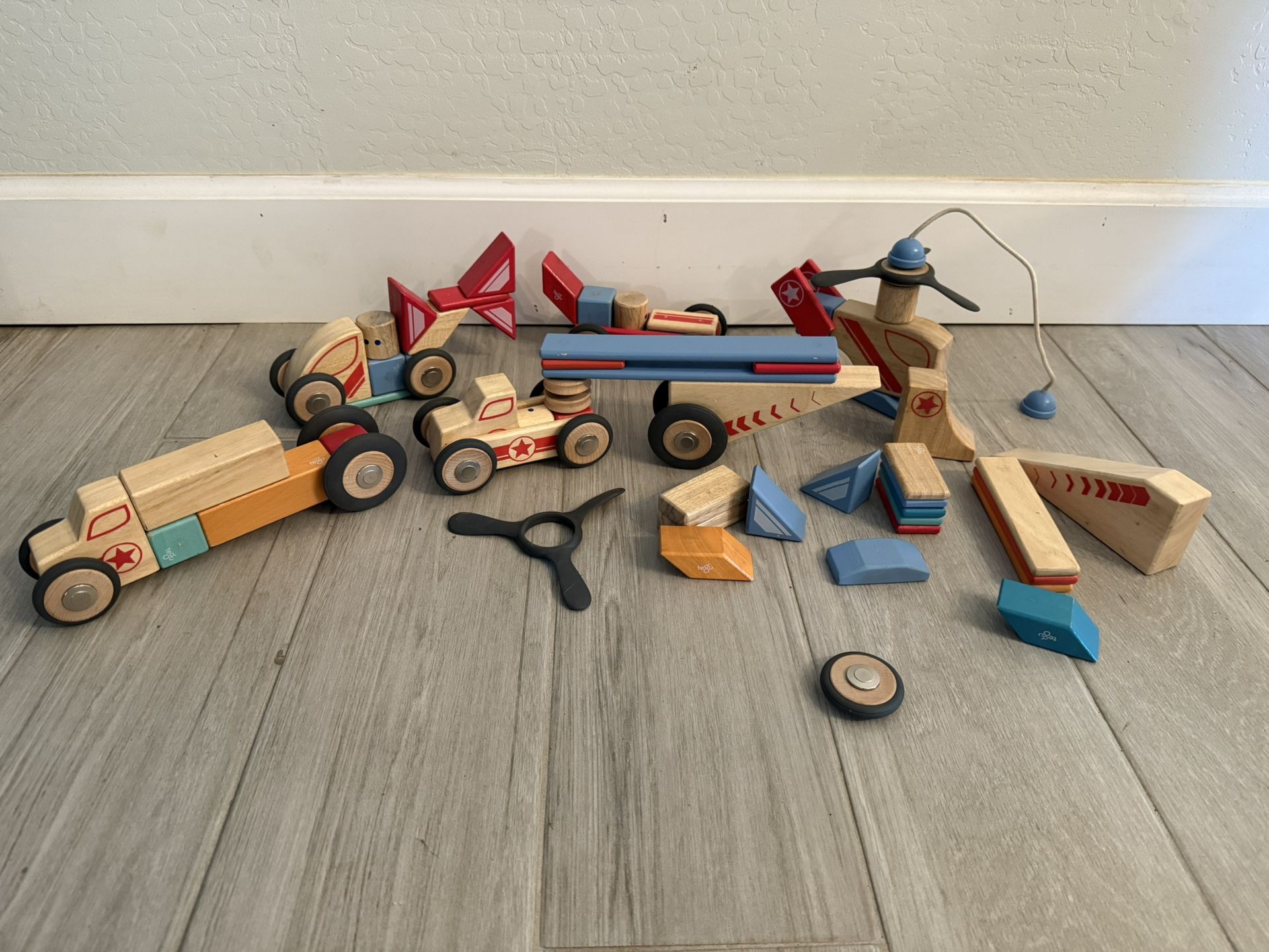 Tegu Magnetic