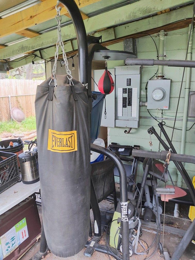 Boxing Bag And Speed Bag