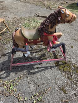 Kids bouncing horse