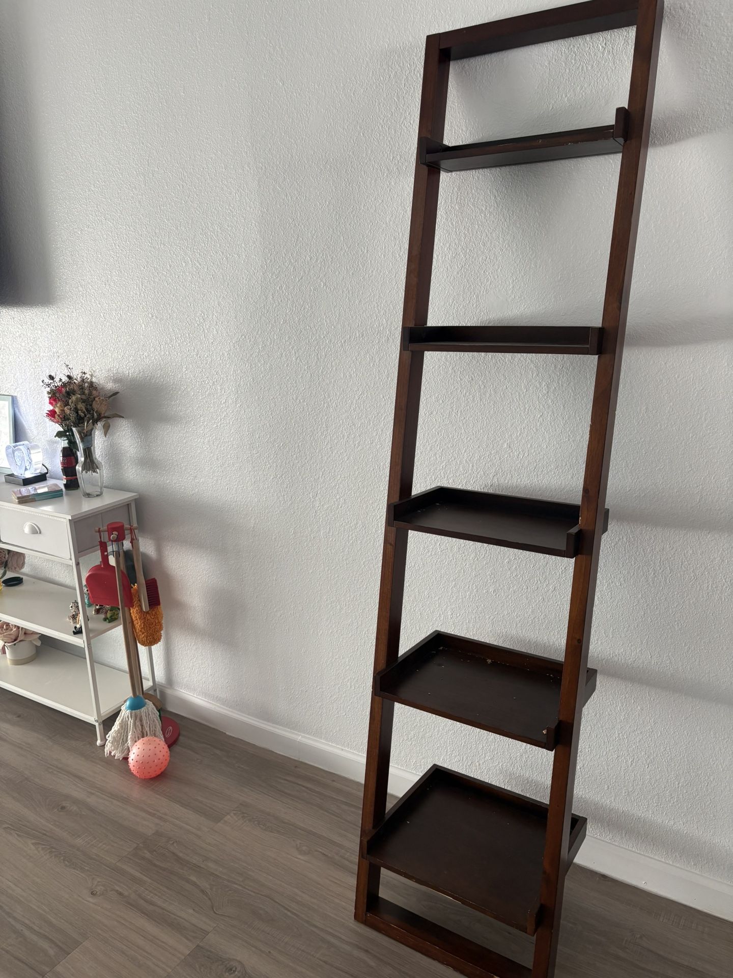 Bookshelves Ladder