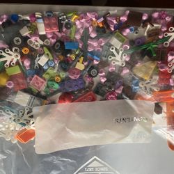 Lego Pieces Bag