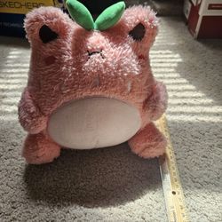 Strawberry Wawa Frog Plush