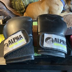 Gently Used Alpha Martial Arts Gloves 12 Oz 
