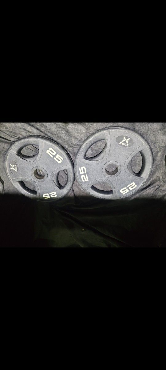 25lbs Olympic Weights