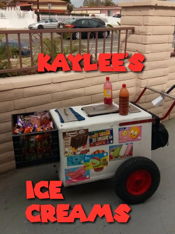 Paletero/ ice cream cart