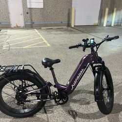 Dark Purple ELECTRIC Aipas bike m1 All Terrain