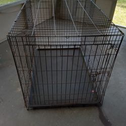 Dog Crate 