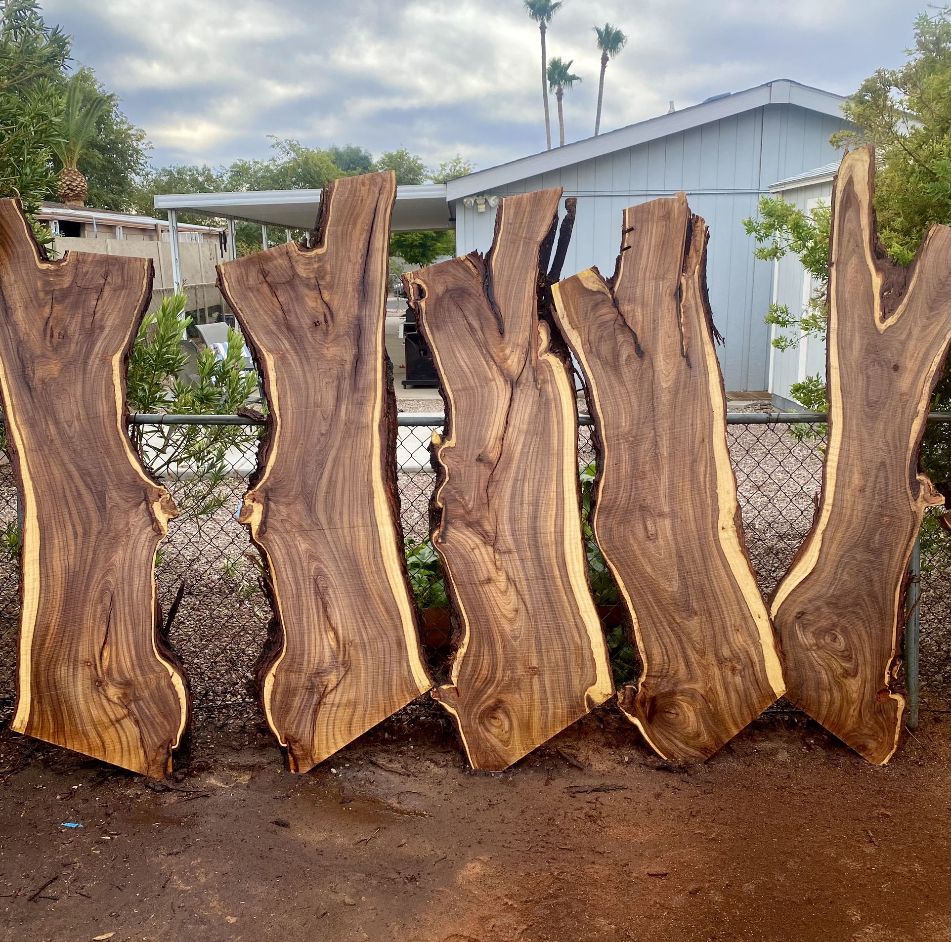 Beautiful Live Edge Mesquite Wood Slabs. Over 6 Feet Long