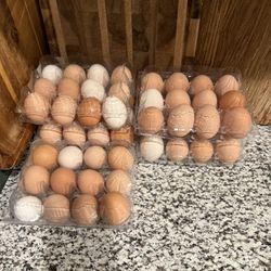 Chicken EGGS For Sale