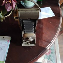 Antique Polaroid