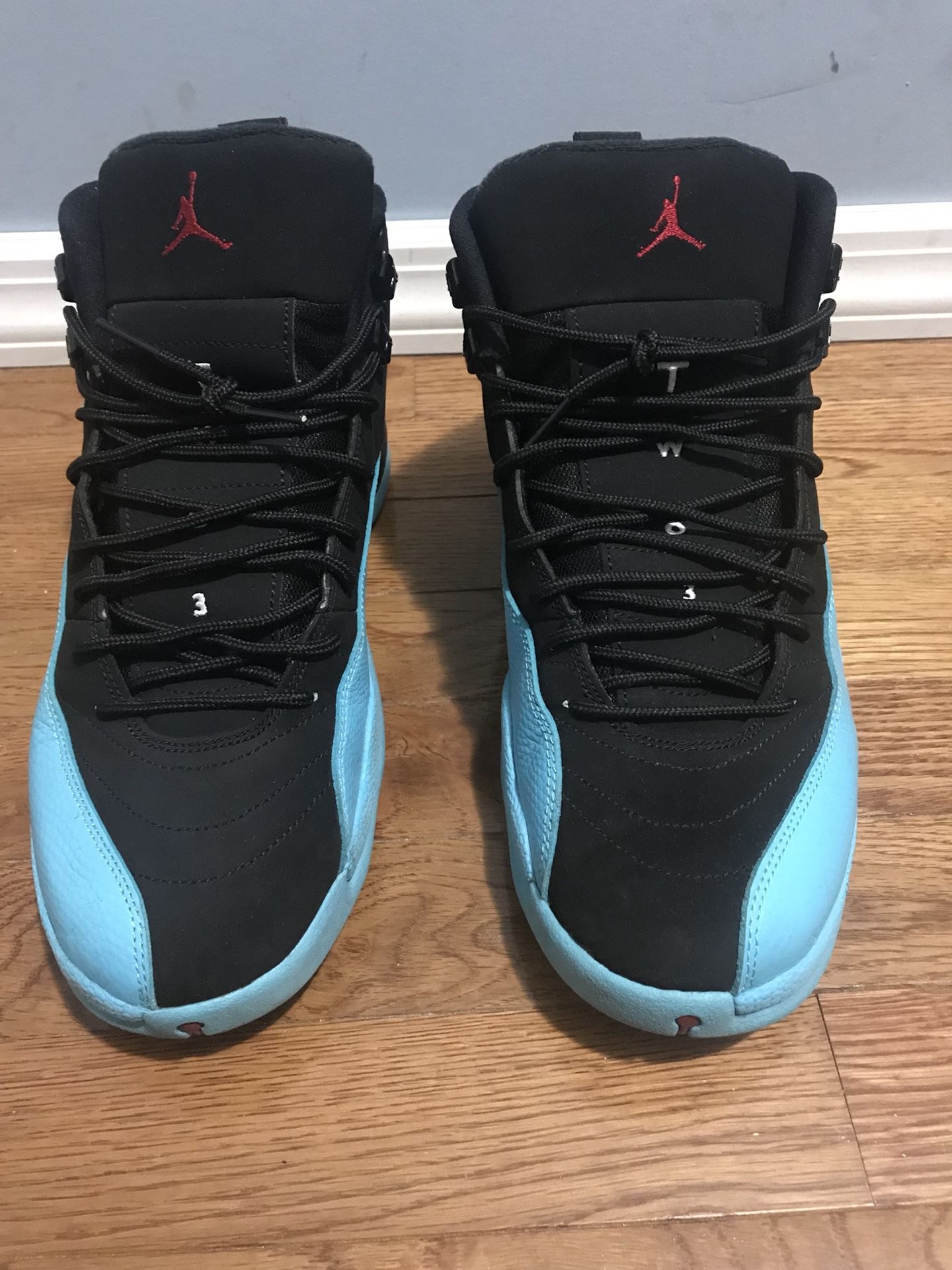 Air Jordan 12 “Gamma Blue” Sz 10 VNDS