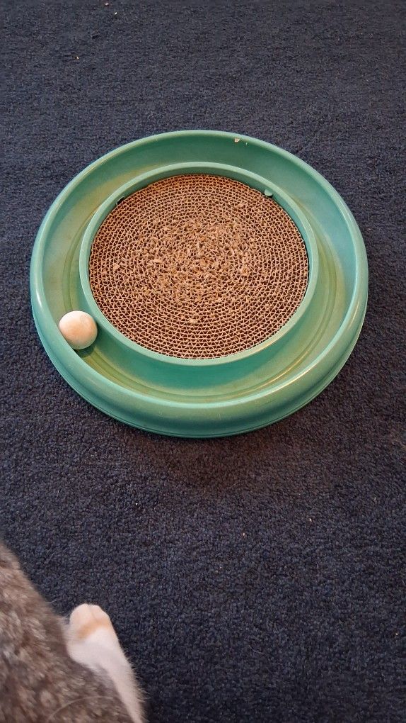 Cat Ball and Scratcher Toy