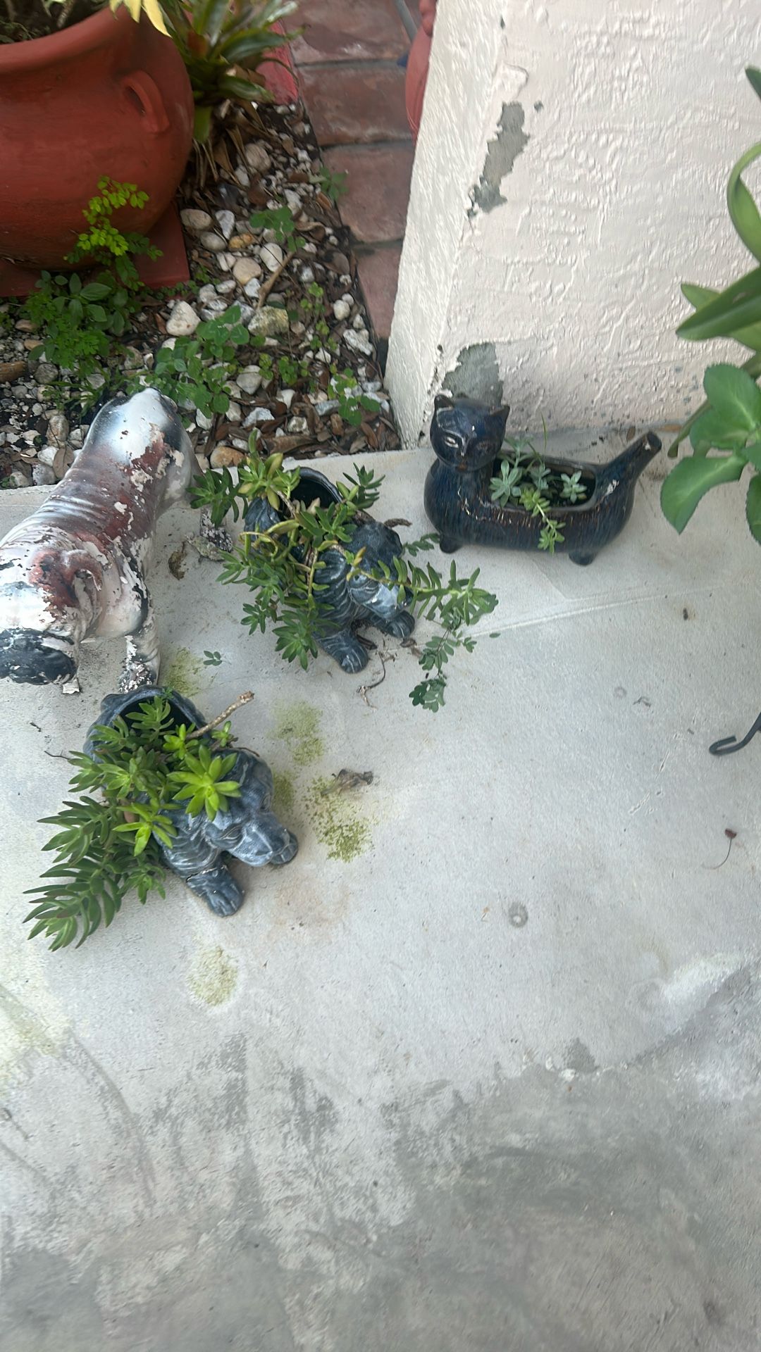 Dog And Cat Plant Holder