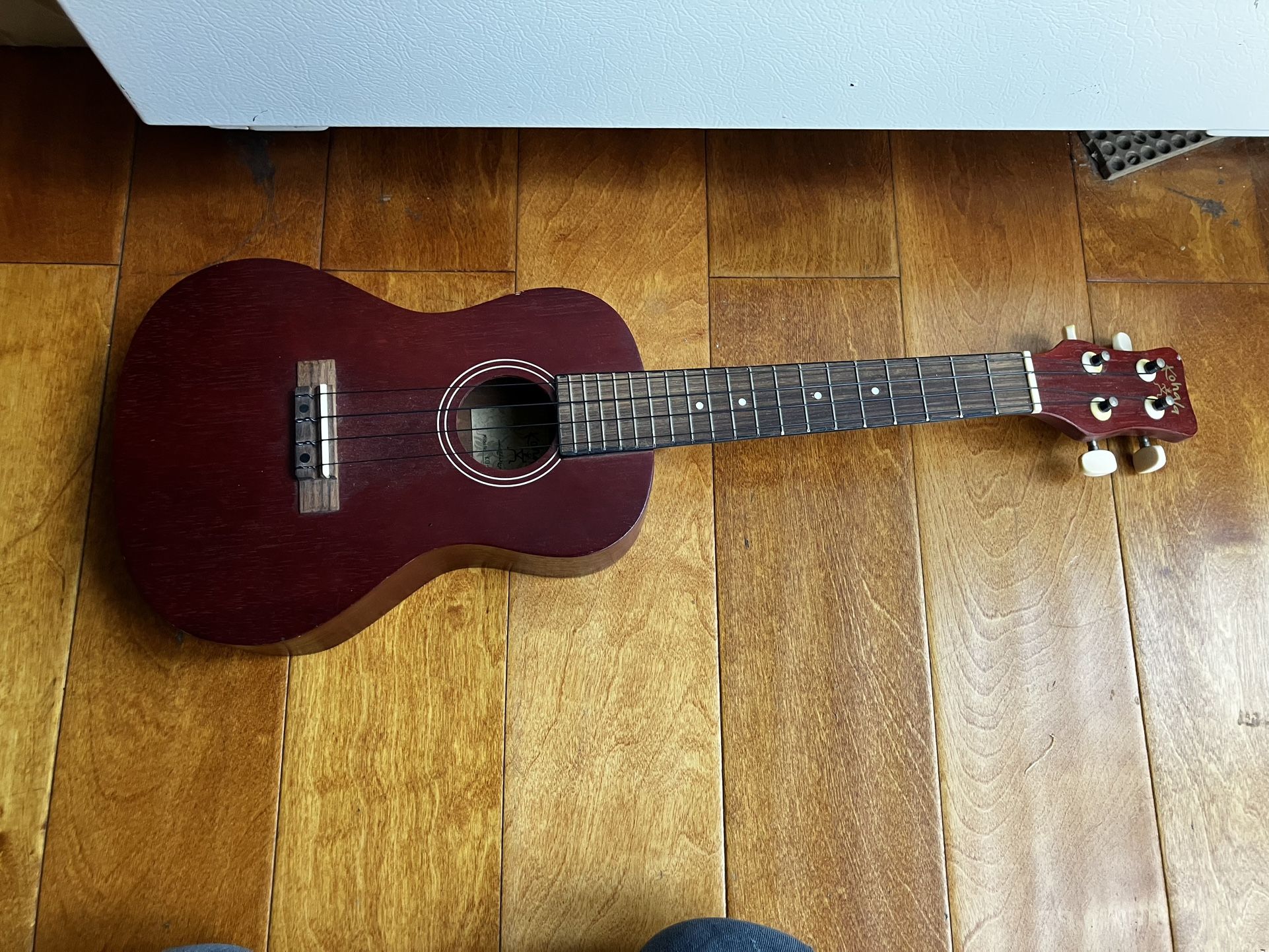 Ukulele 