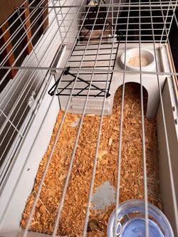 Guinea pig cage , rabbit,hamster