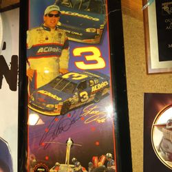 Steve Park Nascar