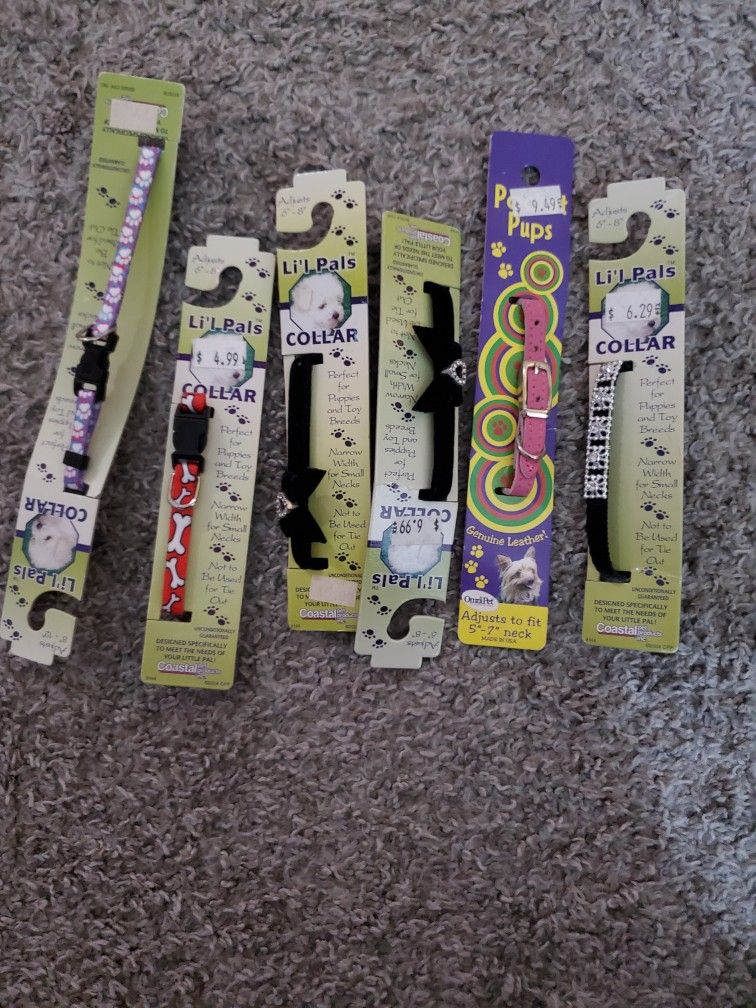 2000$ Worth Of Dog Leashes Collars Outfits Harnesses Etc For 600$