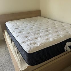 Queen Bed & Frame
