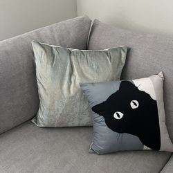 Decorative Throw Pillows 