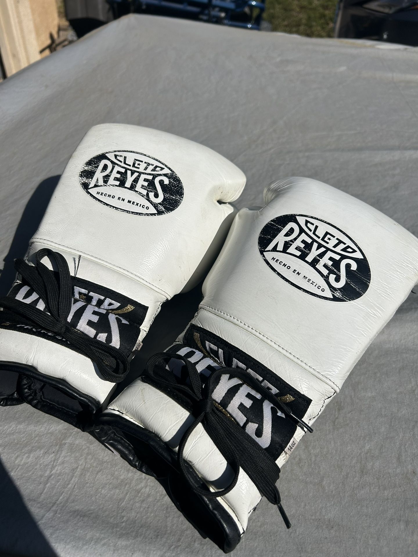 Cleto Reyes Boxing Gloves