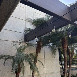 Outdoor String lights