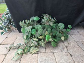 Silk plants in very good conditions,  $8 each