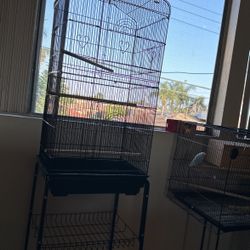 Bird Cage