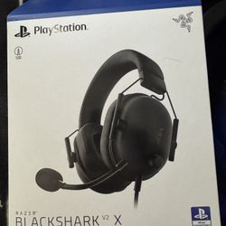 PlayStation Headsets 