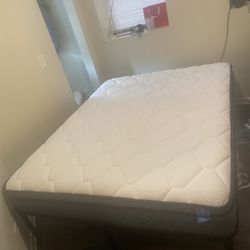 Queen Sized  Memory Foam Mattress  And Platform