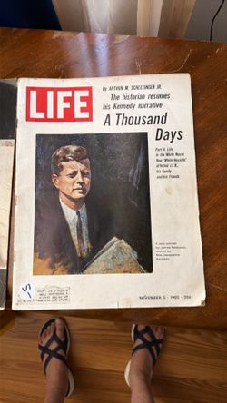 Life magazine, November 5, 1965