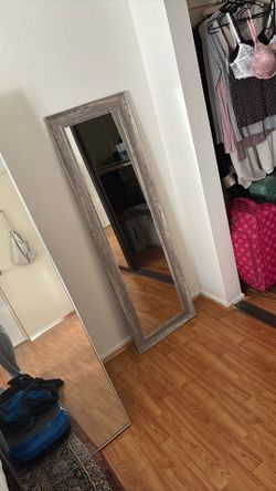 Long Body Mirror 17 1/2x53 1/2 In