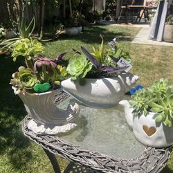 Cute Succulent Planters