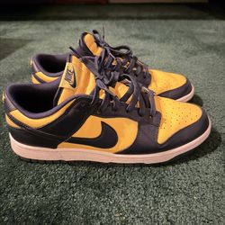 Nike Dunk Michigan 2021