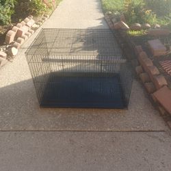 Large Bird Cage Clean