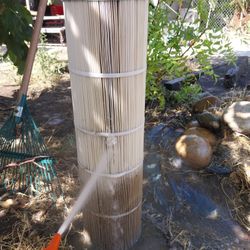 Pool Filter Cleaning Service