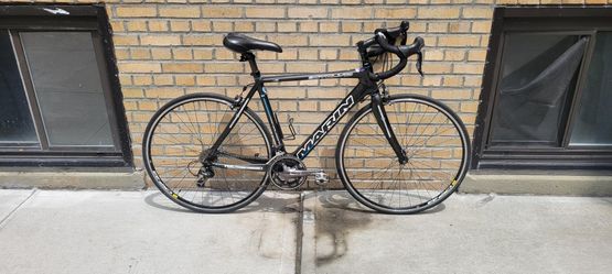 Carbon Fiber Marin  Stelvio road bike.