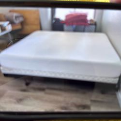 Tuft n needle Queen bed with box spring