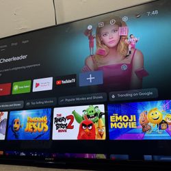 Sony 49" 4K Ultra HD Smart TV (Model XBR-49X830C)