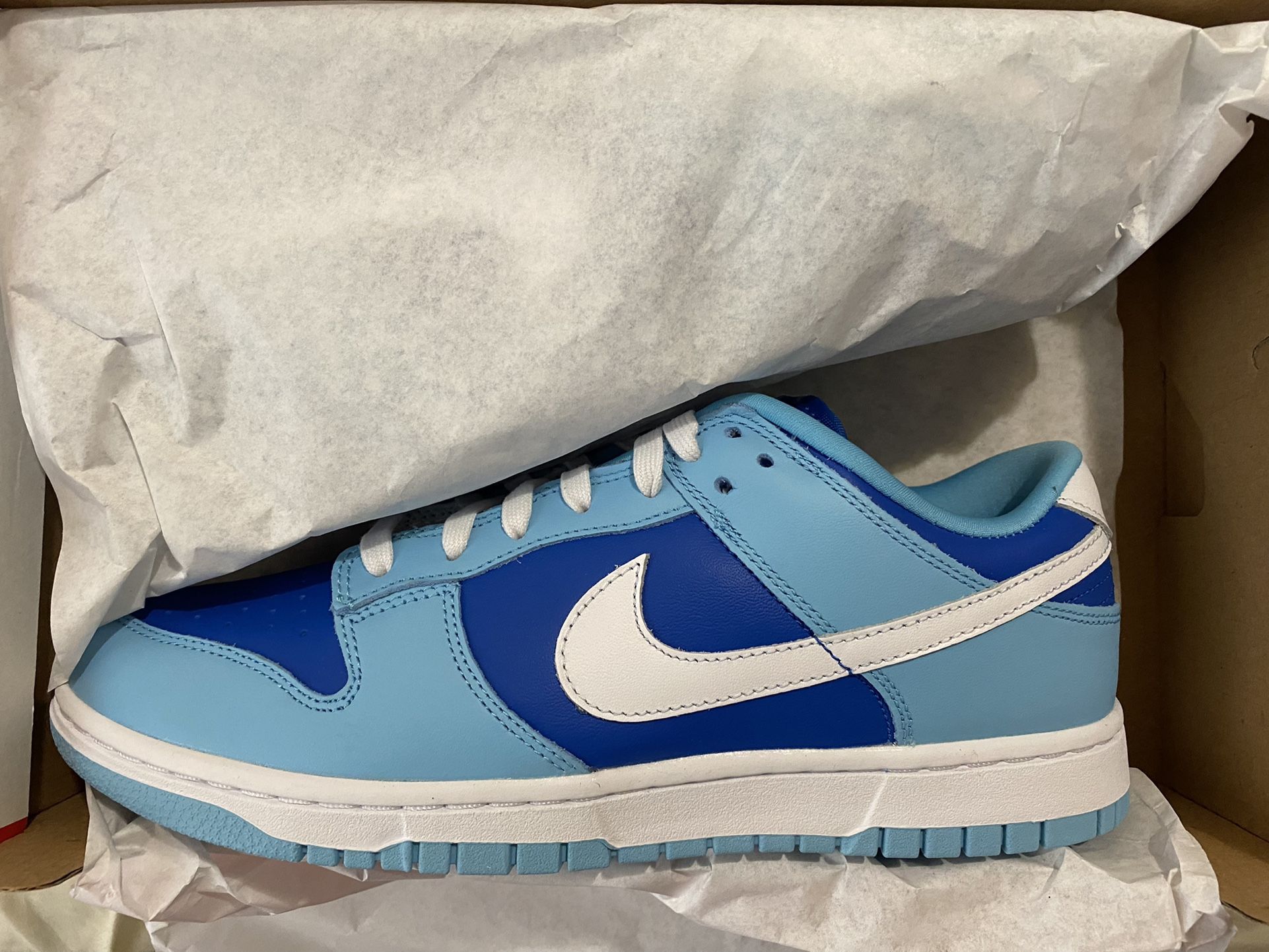 Nike Dunk Low Retro QS “Argon 2022” Exclusive Access In Hand Deadstock